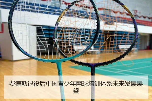 费德勒退役后中国青少年网球培训体系未来发展展望