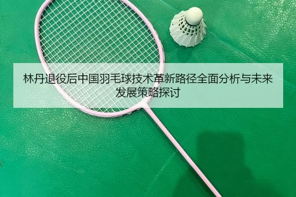 林丹退役后中国羽毛球技术革新路径全面分析与未来发展策略探讨