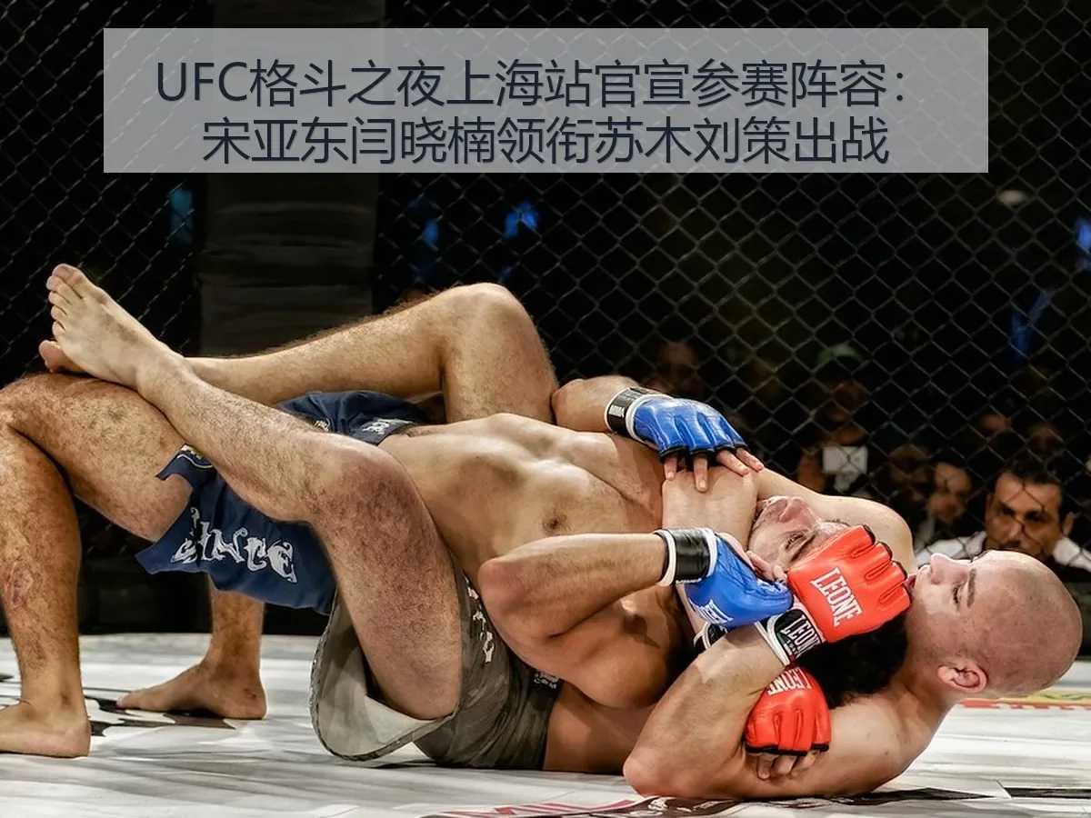 UFC格斗之夜上海站官宣参赛阵容:宋亚东闫晓楠领衔苏木刘策出战
